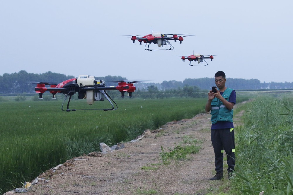 植保行业迎来智能革命：AI诊断+无人机施药如何改变千年农耕